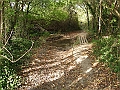 futur trail 027